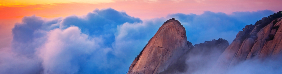 growth matters forum banner