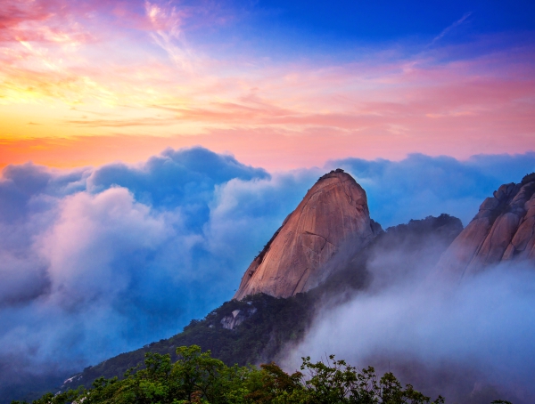 growth matters forum banner